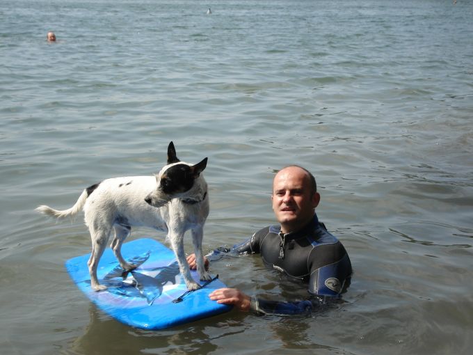 Skip, the surfing Dog